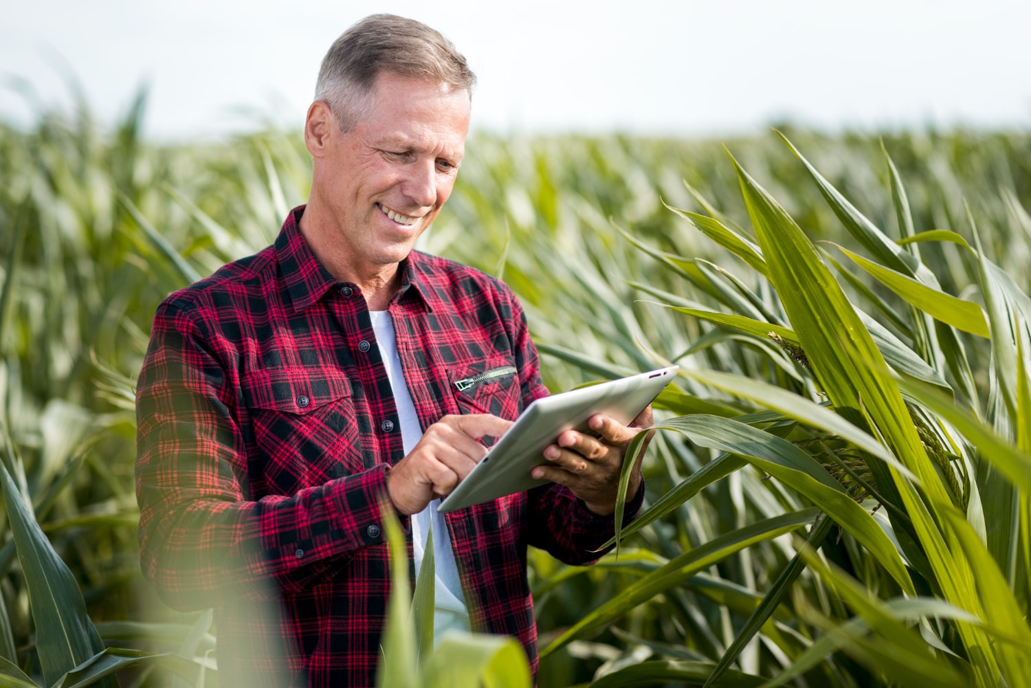 Man outside in field with tablet